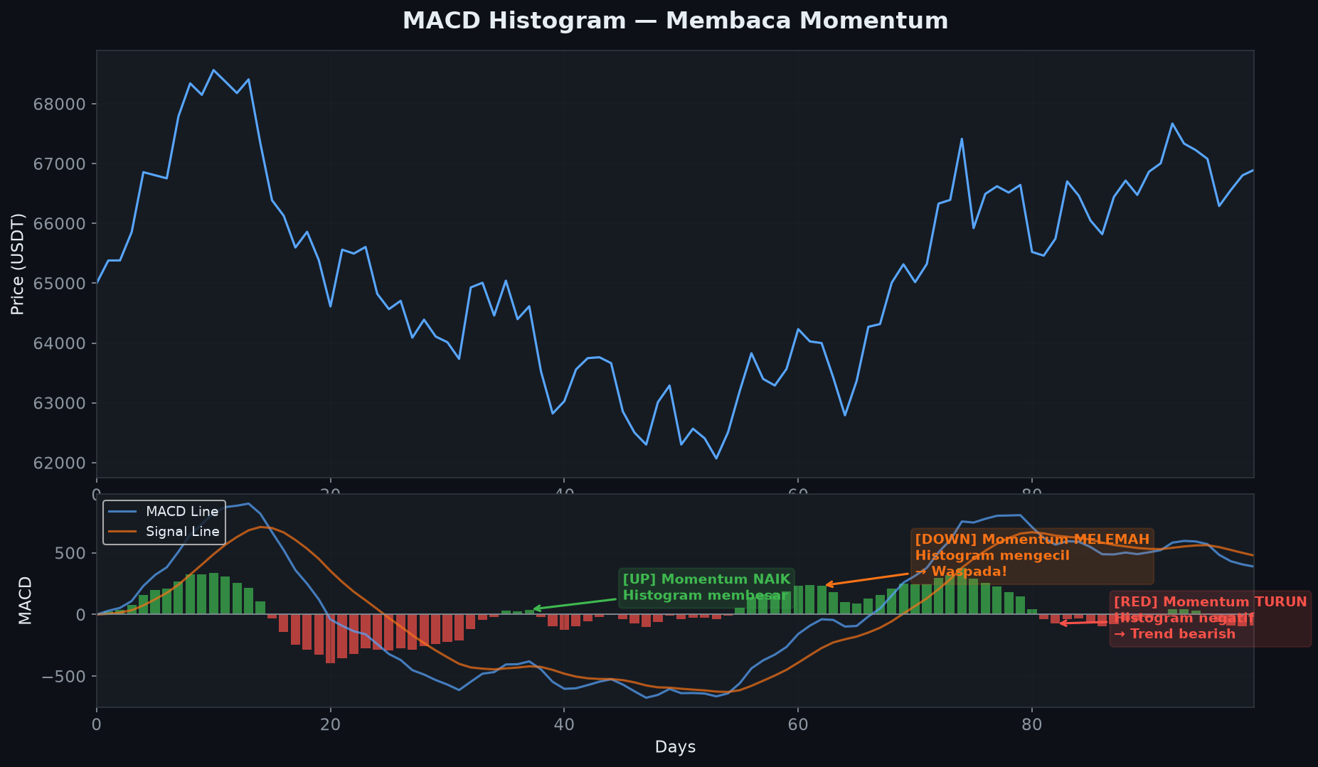 MACD Histogram - Reading momentum strength with green positive and red negative bars